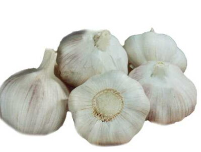 Cesnak MAKOI 4ks        Nepaličiak