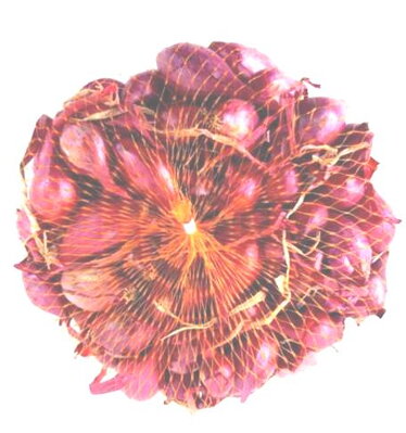 Cibuľa sadz.ROSANNA 250g   80/b