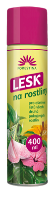 Lesk aktiv 400ml         FORE