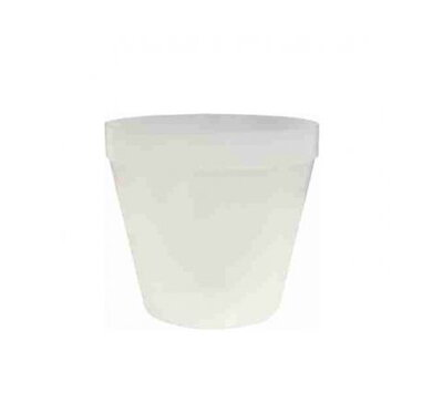 Kvetin.Besop ORCHIDEA 12cm GLAS