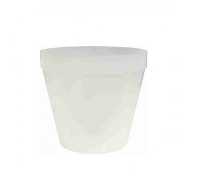 Kvetin.Besop ORCHIDEA 18cm GLAS