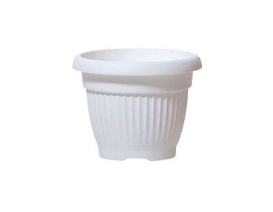 Kvet.TERRA 25cm A DCE25 antr.