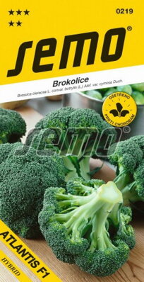 Brokolica SM ATLANTIS F1 0219