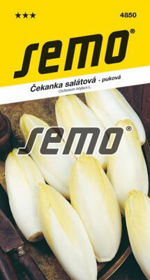 Čakanka SM MECHEL MIDDELVROEG  4850