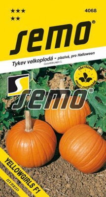 Tekvica SM YELLOWGIRL F1 4068