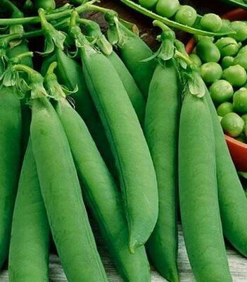 Hrach OSKAR 200g veľmi skorý