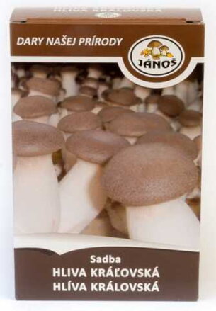 Hliva Kralovska (Pleurotus eryngii, které jsou, Hlíva královská) Hliva Kralovska