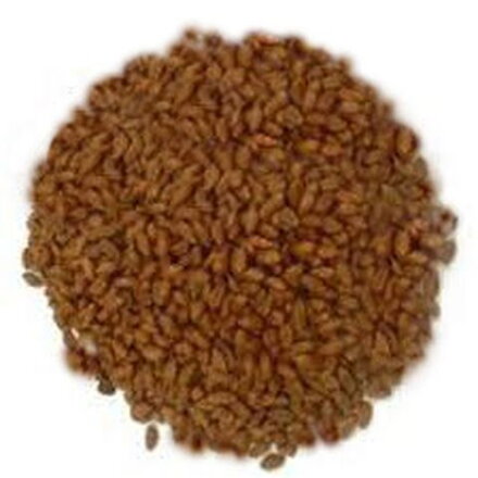 RODENTIC Fast KK  Zrno  1kg  10/k