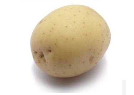 Zemiak COLOMBA minihl. VSKOR  NL