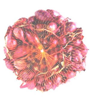 Cibuľa sadz.ROSANNA 250g   80/b