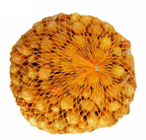 Cibuľa sadz.ŠTUTGART 500g 8/21    40/b