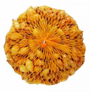 Cibuľa sadz.VŠETANA 500g 8/21   40/b