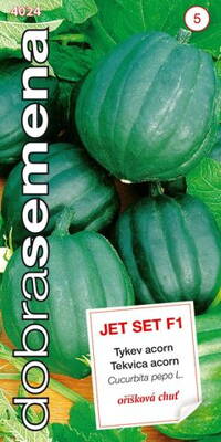 Tekvica DS JET SET F1 4024