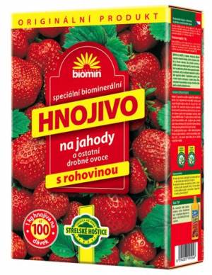 Biomin JAHODA 1kg        FORE