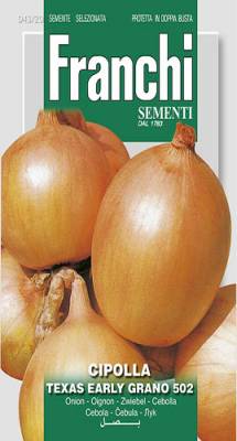 Cibula FR TEXAS EARLY GRANO 5