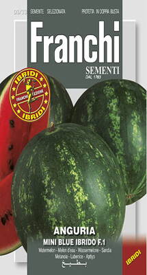 Melon FR MINI BLUE F1 vodny