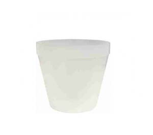 Kvetin.Besop ORCHIDEA 12cm GLAS