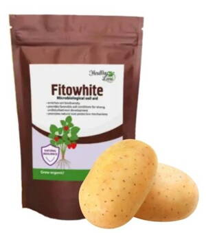 Fitowhite  60g