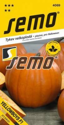 Tekvica SM YELLOWBOYS F1 4069