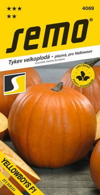 Tekvica SM YELLOWBOYS   9199